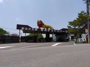 路線バスと周遊バスを使い倒せ！お得にね！