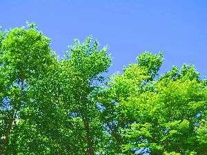 那須高原・地元ネタ？